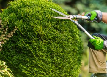 Right Tree Trimming Service